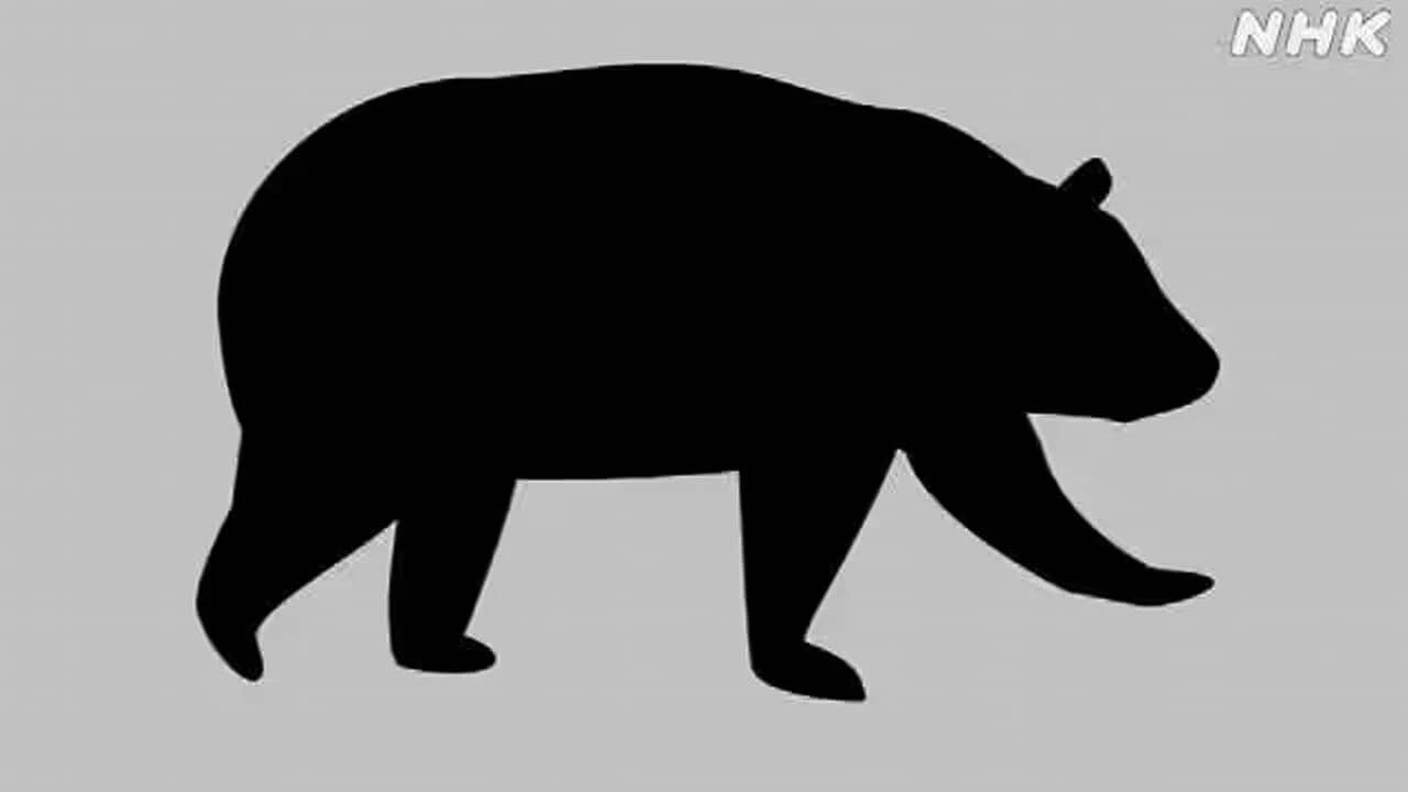 10月 クマによる人身被害 少なくとも87人 生活圏での被害7割に