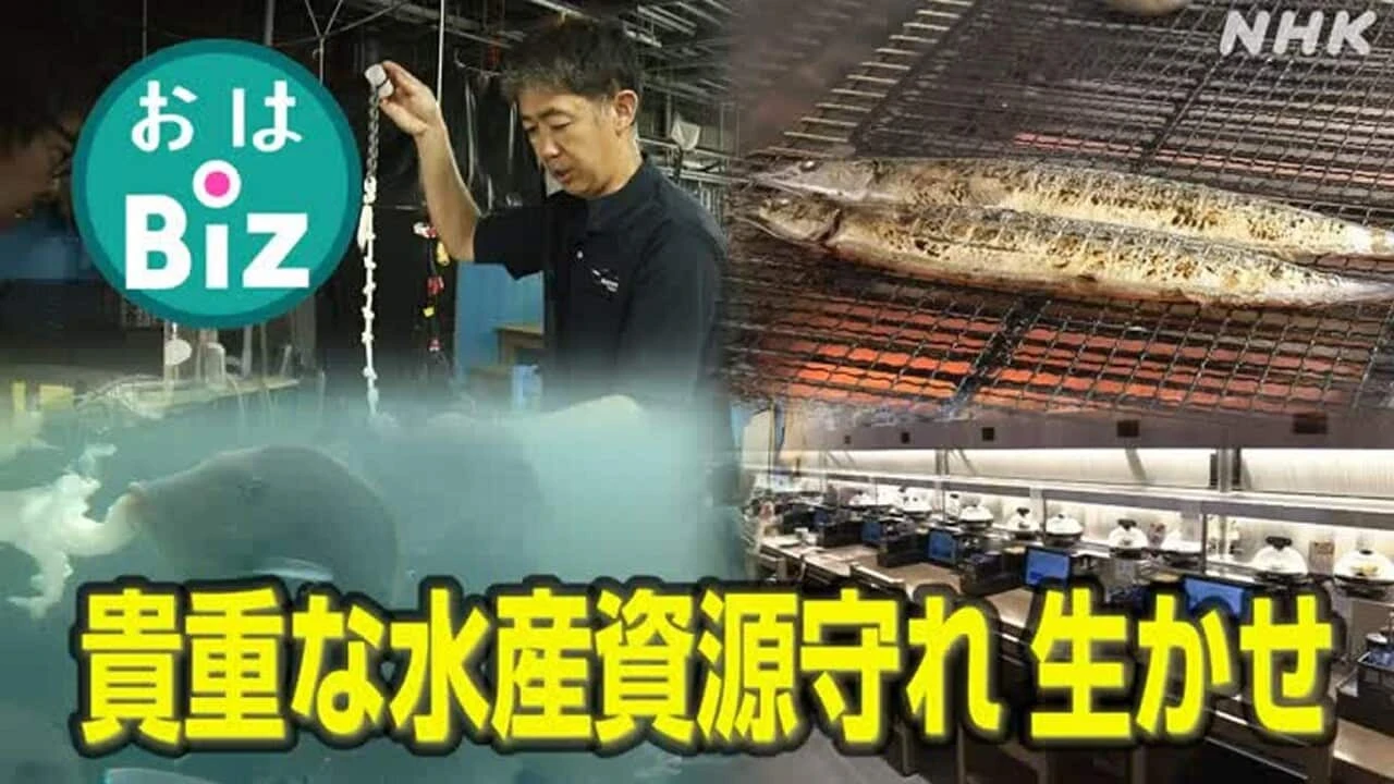 【きょうのおはBiz 10月31日(金)】貴重な水産資源 守れ 生かせ