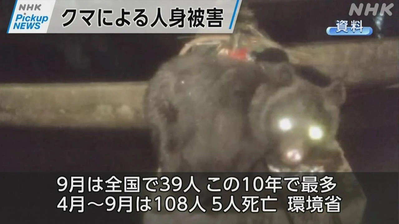 【動画】Pickup NEWS（10月8日）