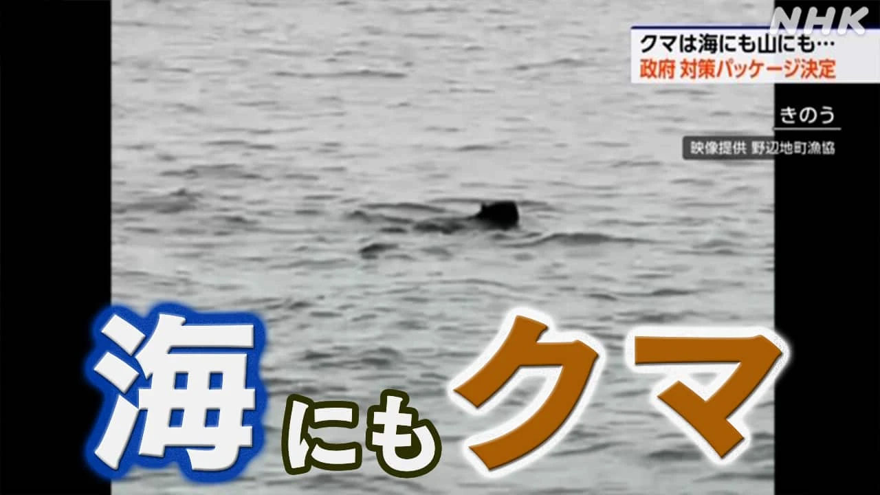 海面から顔を出すクマ目撃 海上で駆除 青森