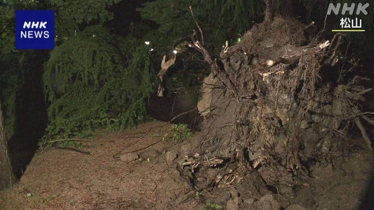 【台風被害】松山 城山公園で倒木 奈良では建築用の足場倒れる