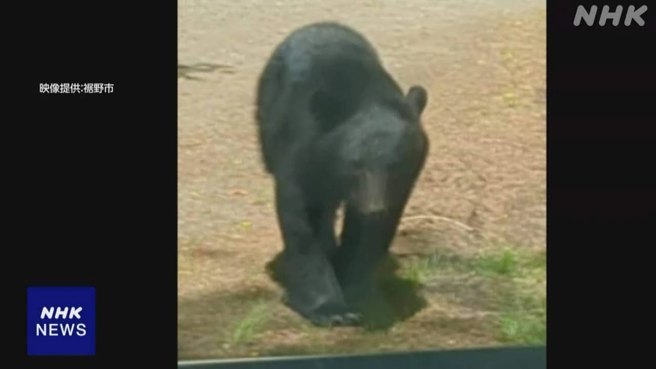 今年度のクマ人身被害  9都道県で少なくとも23人 うち3人死亡