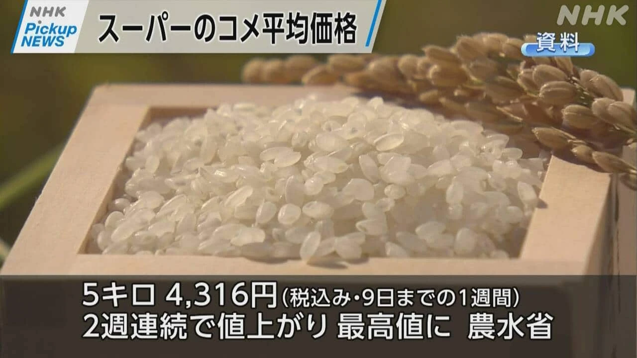 【動画】Pickup NEWS（11月15日）