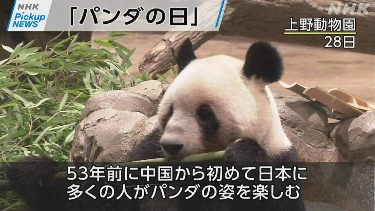 【動画】Pickup NEWS （10月29日）