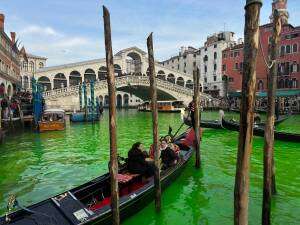 Il blitz gretino al Canal Grande: 28 eco-vandali portati in Questura