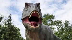 L'ultima cena del tirannosauro: cosa c'era nello stomaco del predatore