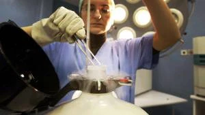 Embrioni umani sintetici ottenuti con cellule staminali: l'ultima rivoluzione della ricerca