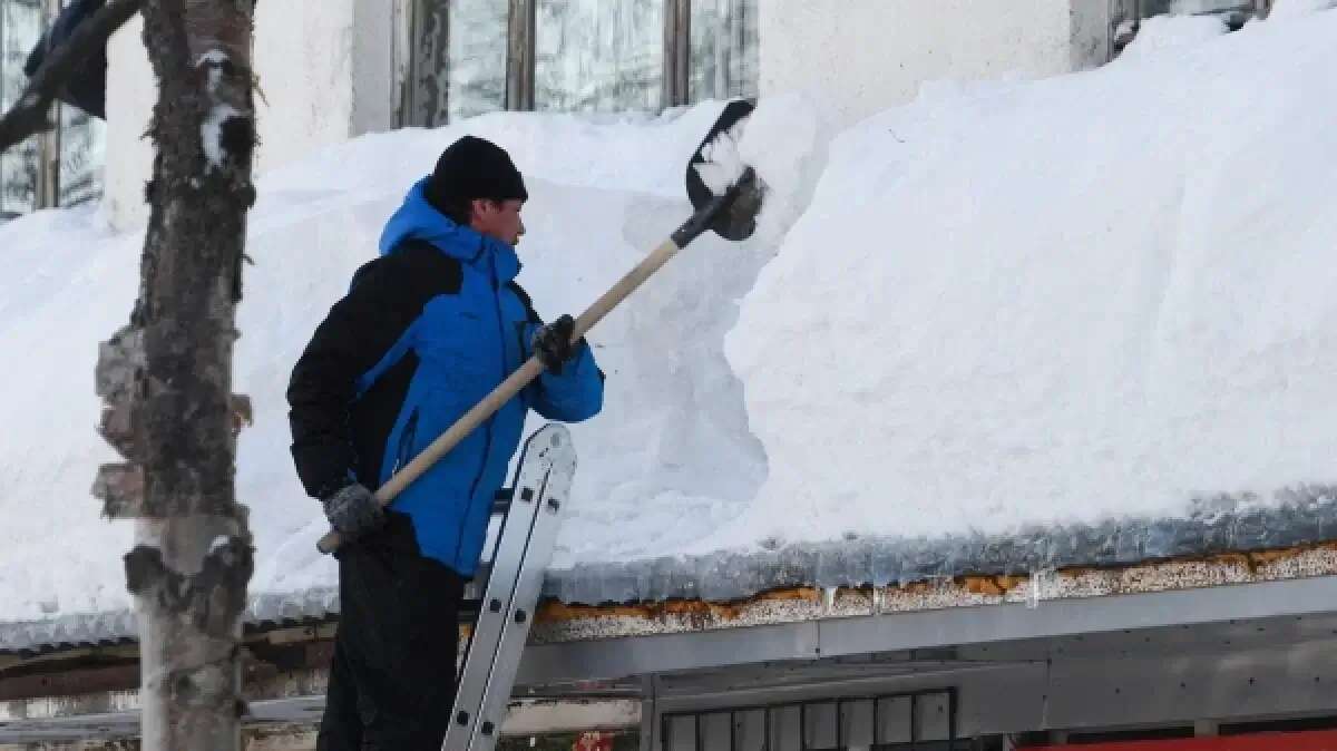 Снег выламывает окна в домах жителей Сахалина