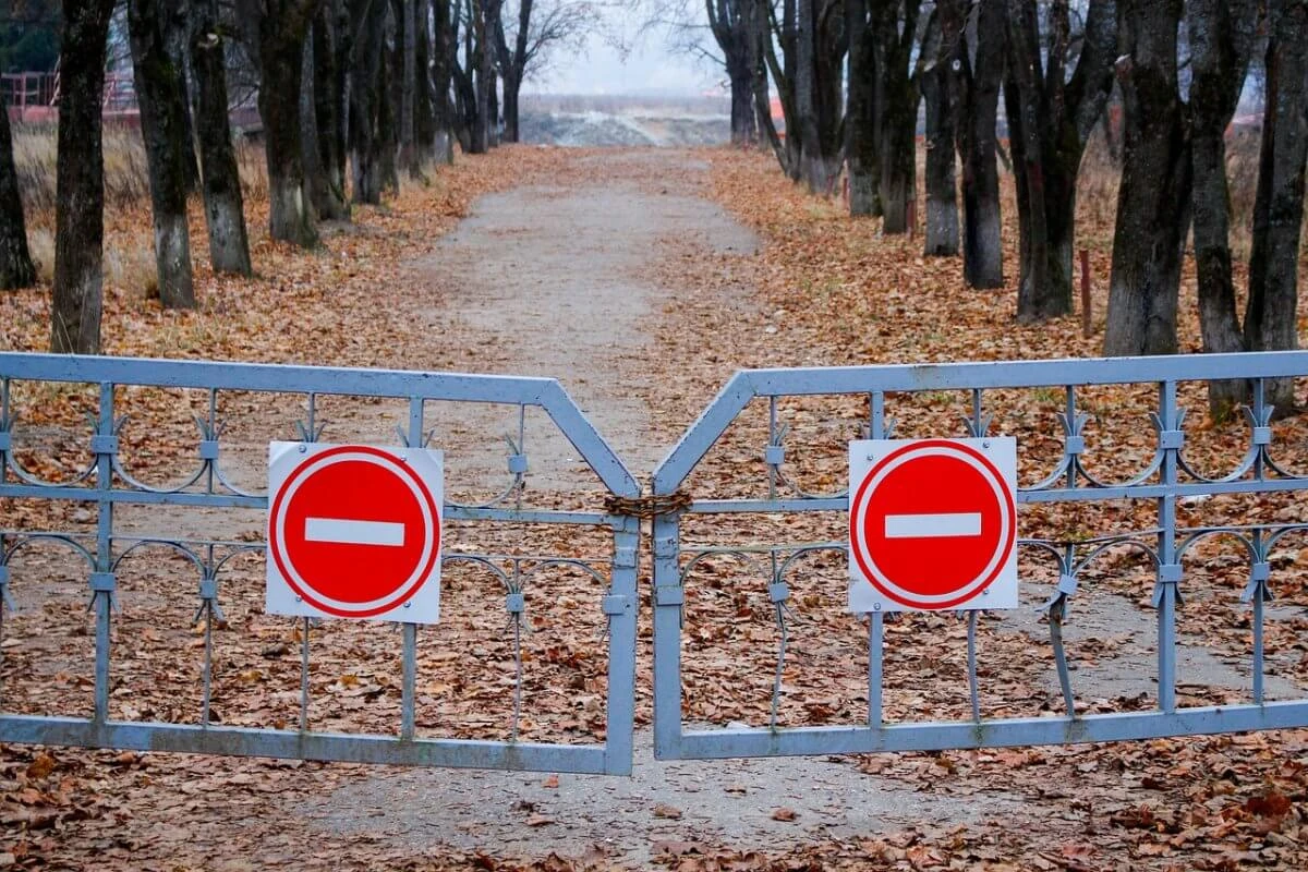 Жажда селфи с крокодилом привела туриста к западне