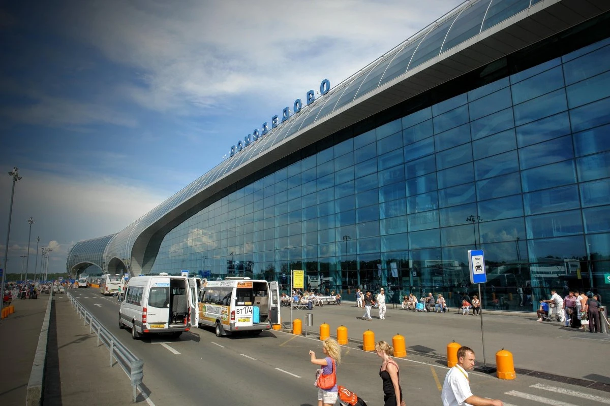 Клопы атаковали пассажиров в аэропорту Домодедово
