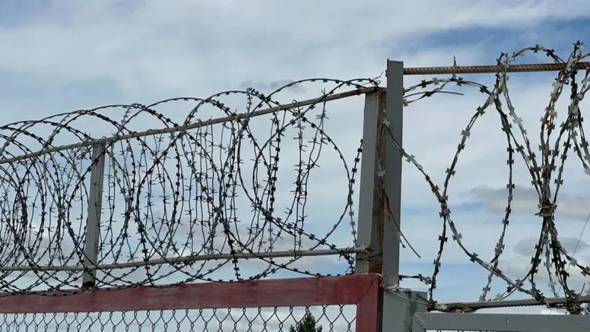 Сенат принял Закон об амнистии