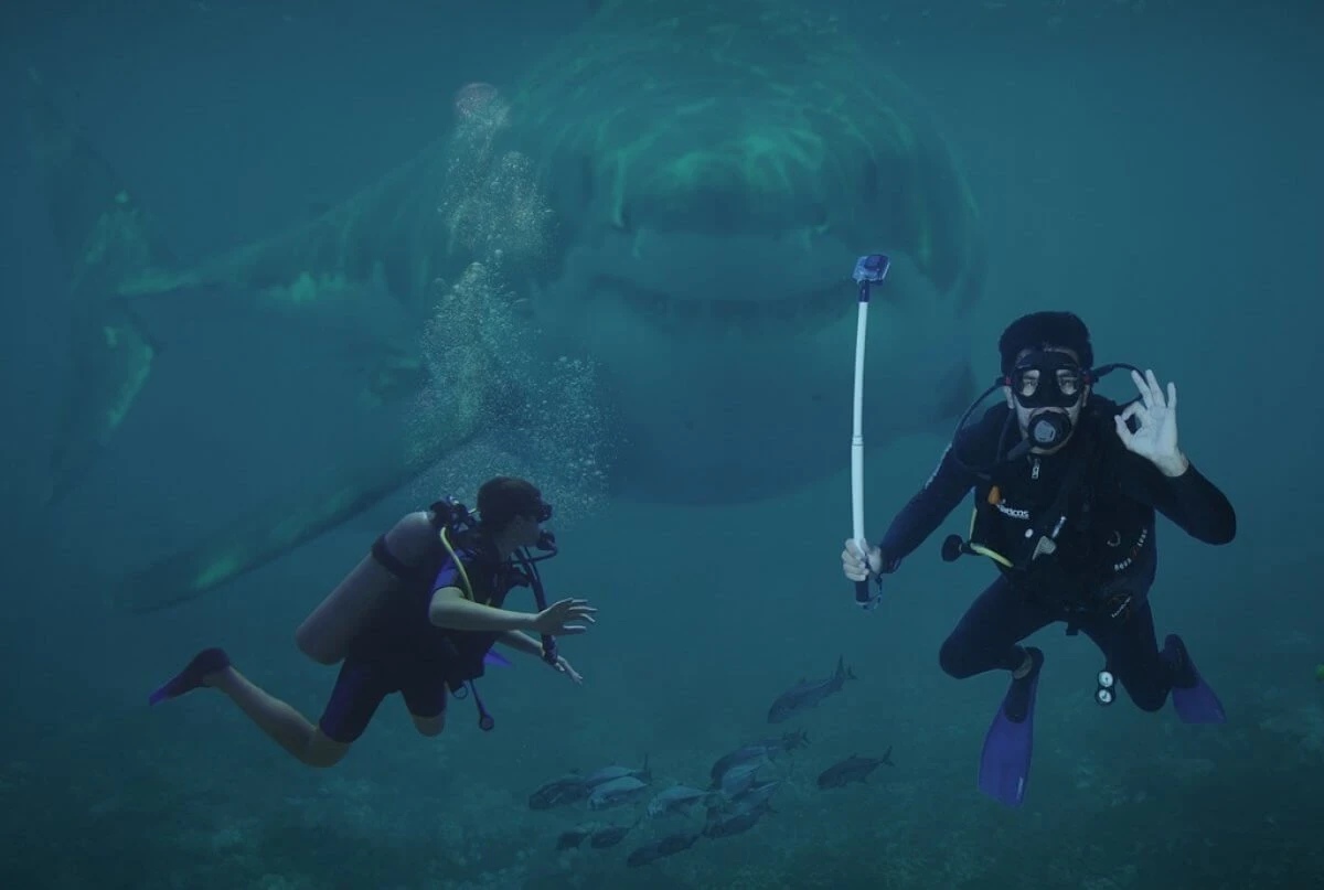 Акула напала на туристку во время снорклинга на Мальдивах