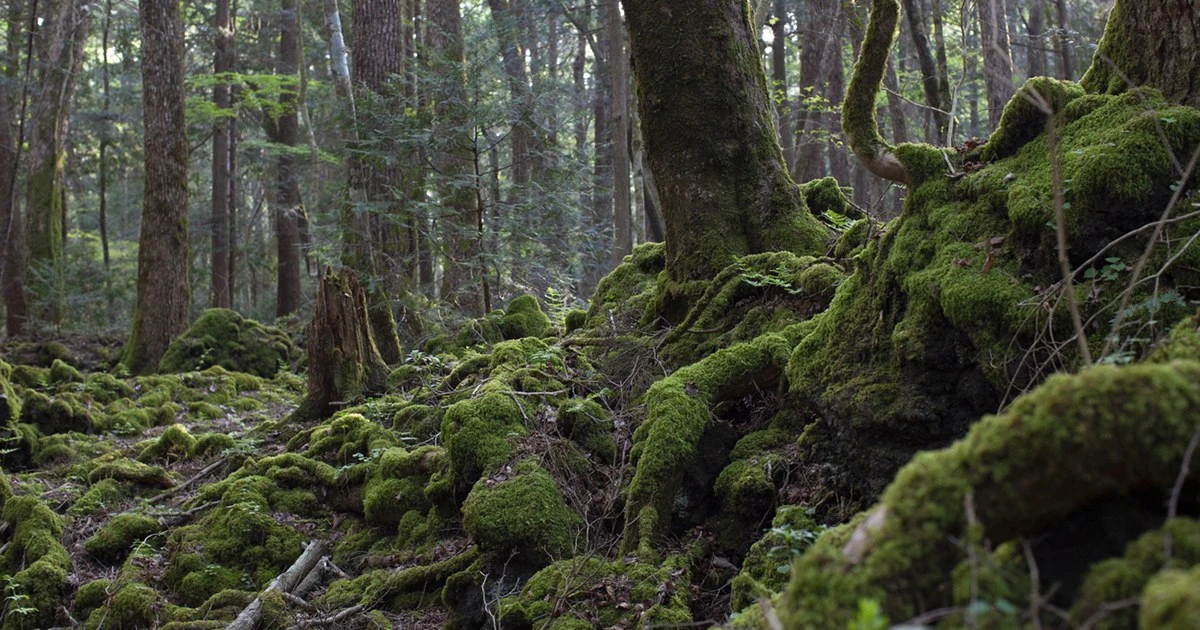 富士山に「埋まっていたもの」は…『ざんねんないきもの事典』動物学者の背筋が凍る体験