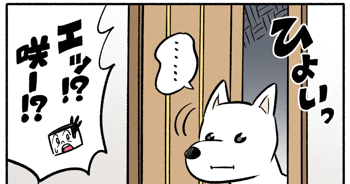 【マンガ】階段の下から白柴の呼ぶ声が…甘えん坊すぎる「その後の行動」とは