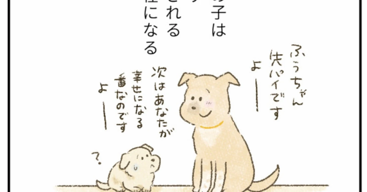 イノシシ捕獲用の檻から保健所へ「誰からも選ばれなかった」シニアの保護犬の最後の家族