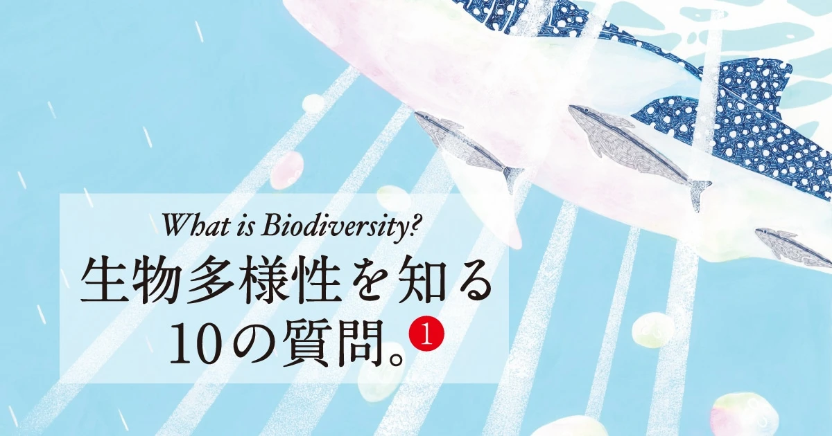 ”第6の絶滅期”とされる現状の原因は？生物多様性を守るために知るべきこと