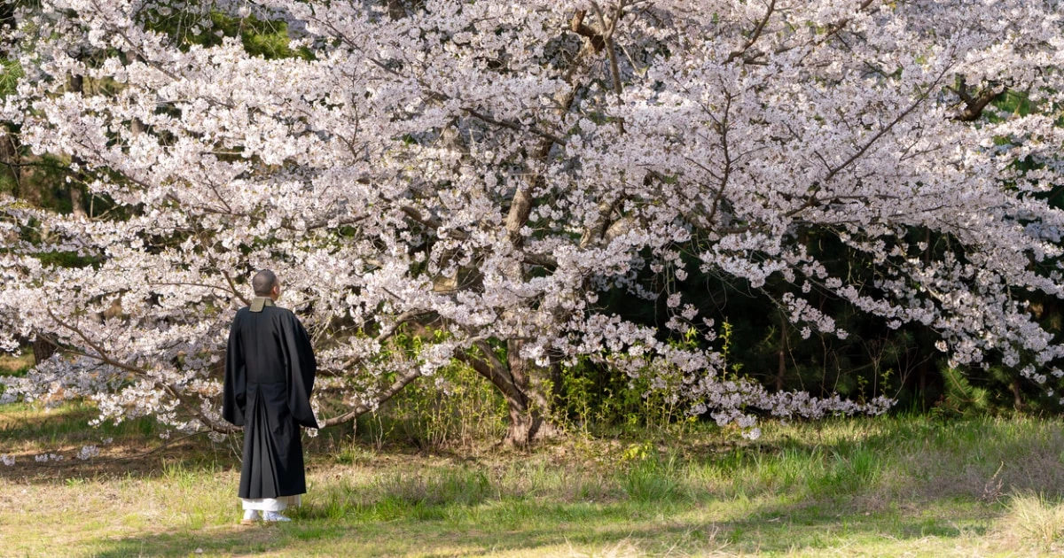 なぜ日本社会で「ジミ葬」や「直葬」が増えたのか「納得の理由」