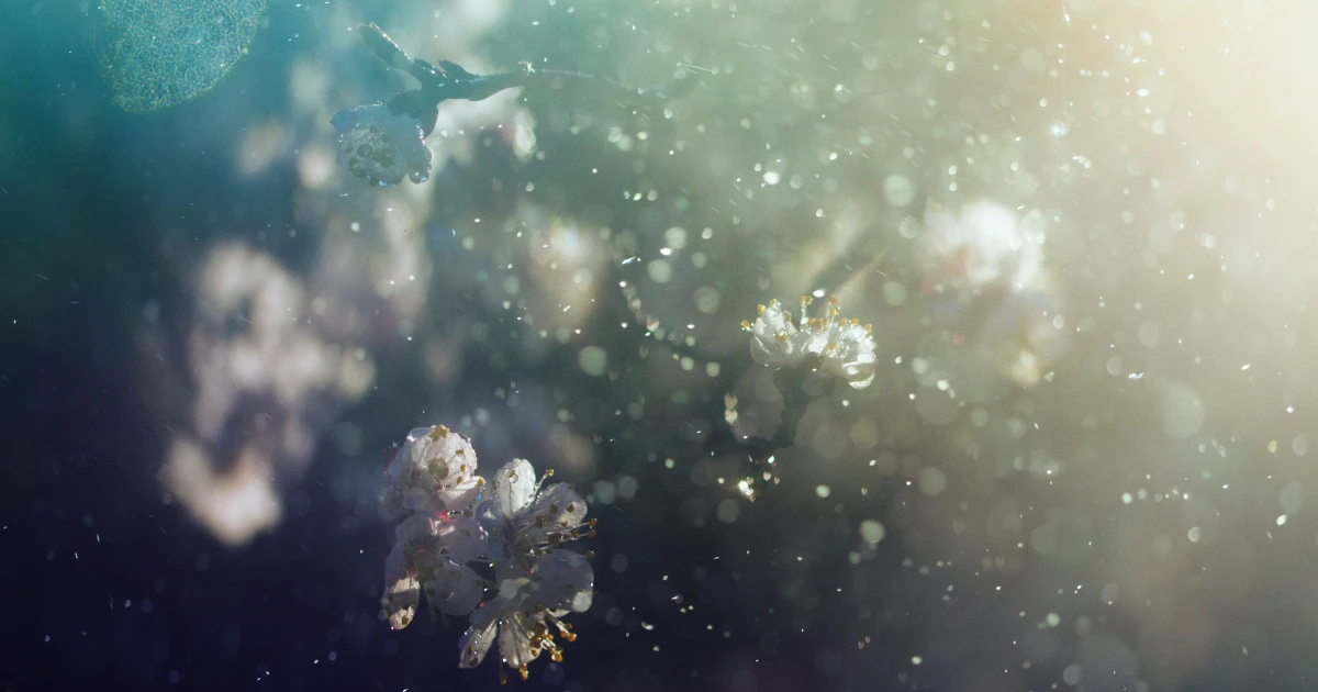 ツラすぎる「花粉症」を根本から治療できる「スゴい治療法」があった…！