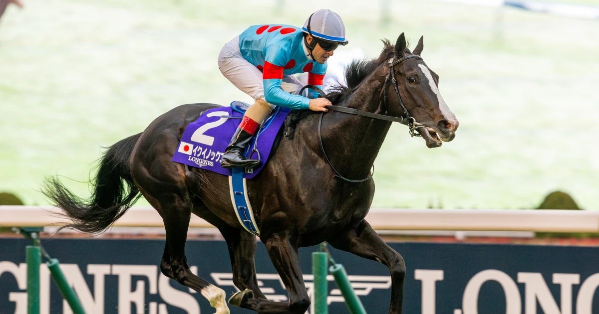【ラウンドワン】【東京都競馬】優待投資「夏の鉄則」を一挙公開！超お得、超楽しいレジャーを味わう方法