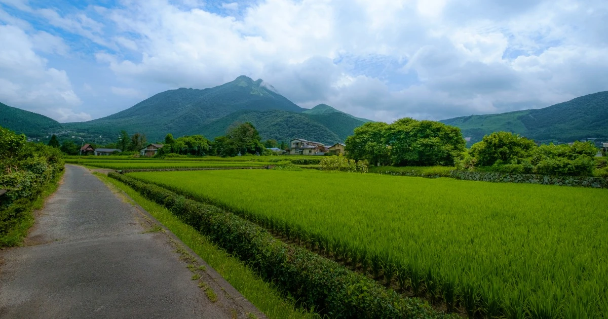 暴風、豪雨、過酷すぎる農作業だけじゃなかった…田舎に移住した50代マンガ家を待ち受けていた「ヤバすぎる奴ら」