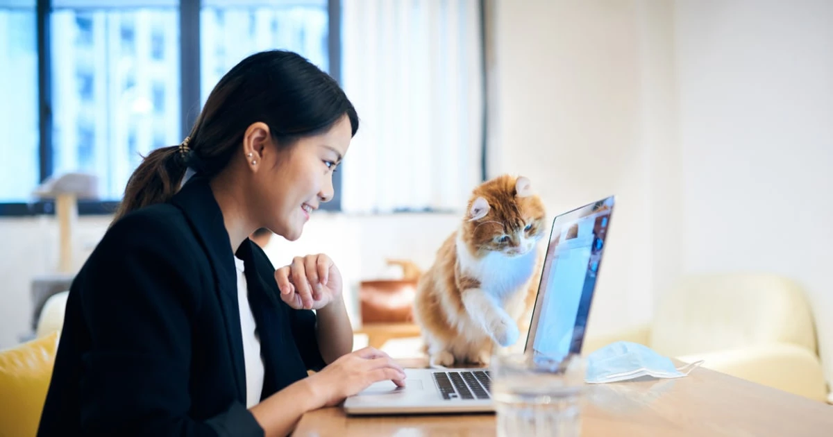 「ノマド」とは何だったのか…３種類のノマドから見えてくる現実