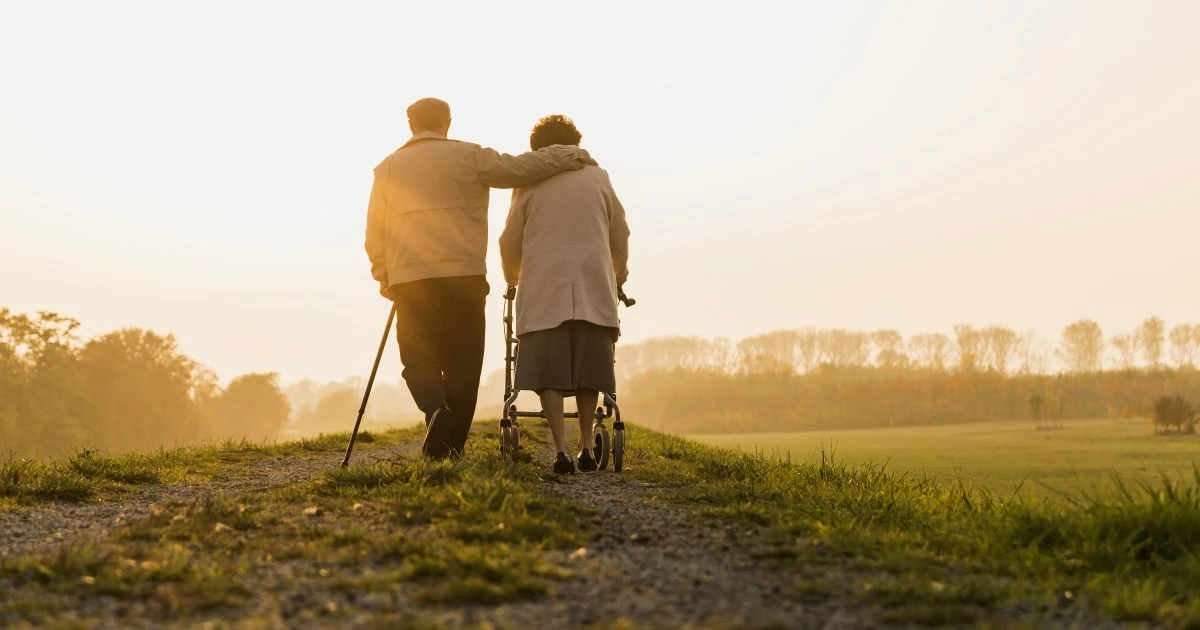 70代のマウスが20歳も若返り……！？驚愕日本の「老化抑制研究」ここまで進んでいた