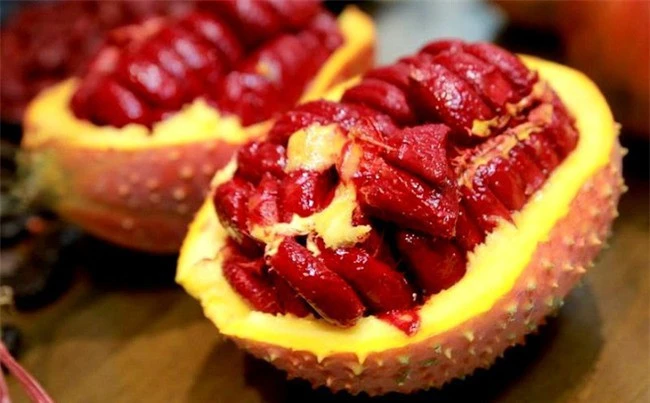 Thăm chiến trường xưa, người lính già biến loài cây ruột đỏ thành 