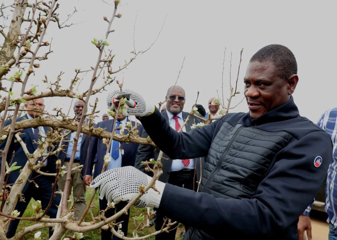 Mashatile in Wes-Kaap om te kyk hoe grondhervorming vorder