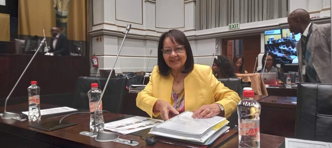 Vat my Valke of polisie toe as ek korrupsie toesmeer, sê De Lille