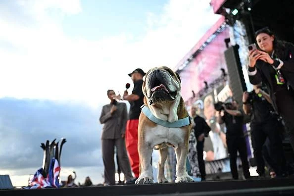 Hamilton gebroke oor geliefde hond Roscoe se dood