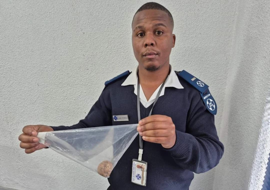 10 honde in Lwandle vergiftig, DBV vra publiek se hulp
