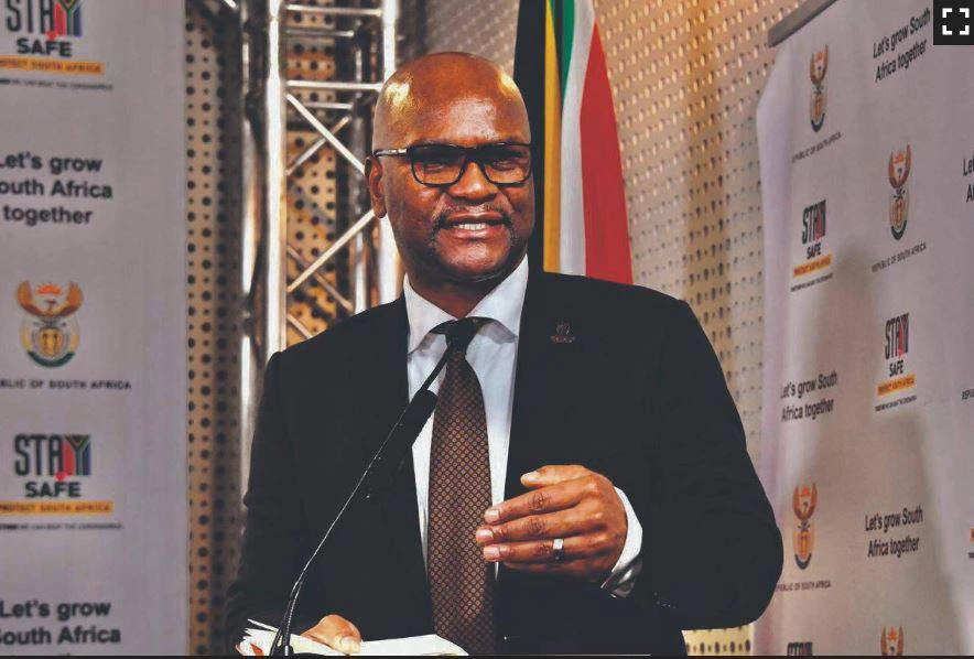 Nathi Mthethwa se lyk glo gevind, volgens Franse media