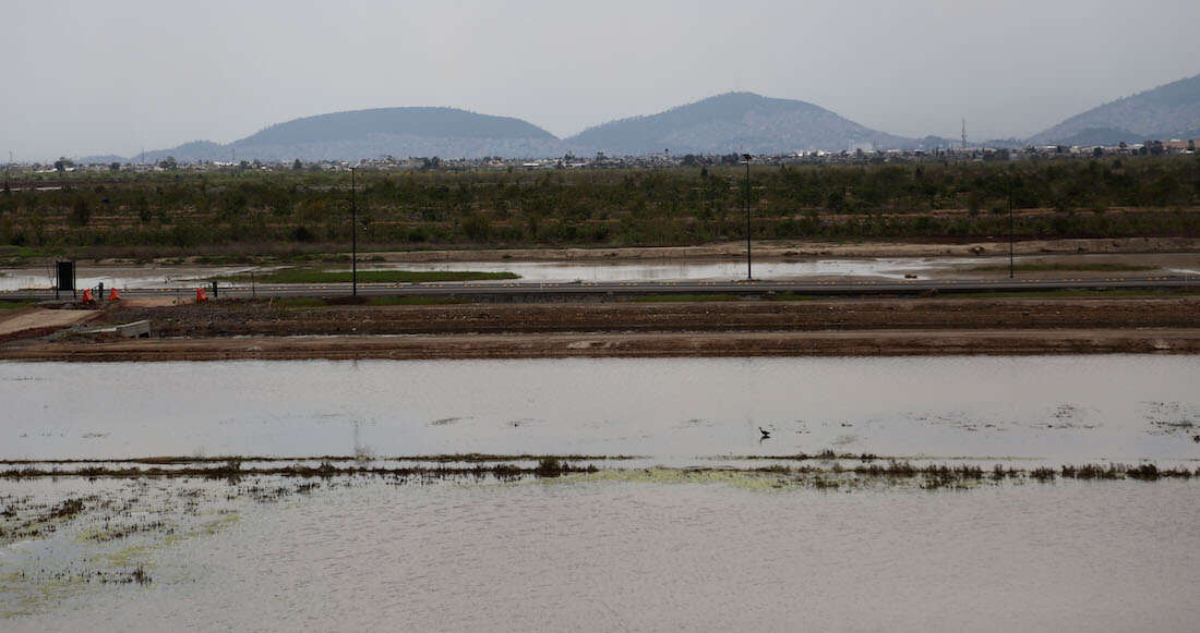 PARTE 3 ¬ Un parque ecológico florece en Texcoco para remediar el desastre del NAIM