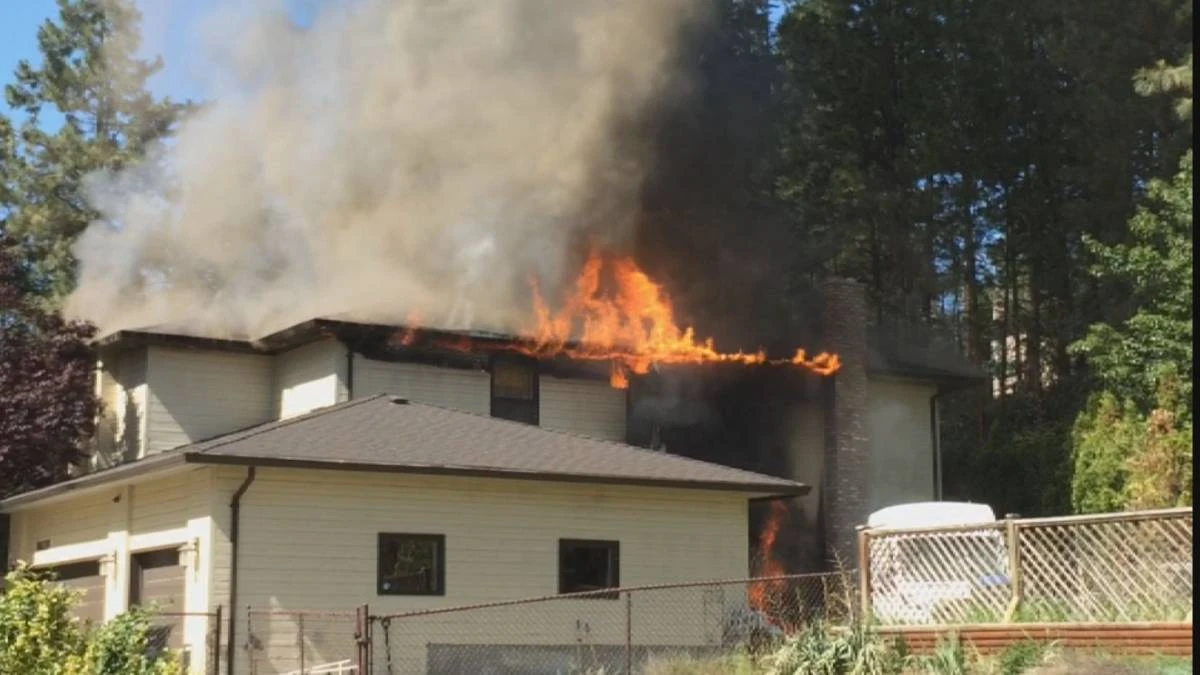 Lake Country residents break into burning home to save puppies