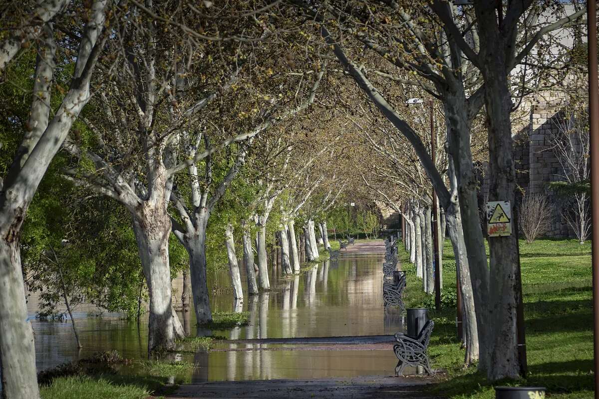 Las lluvias de marzo pronostican una temporada intensa para los alérgicos: 