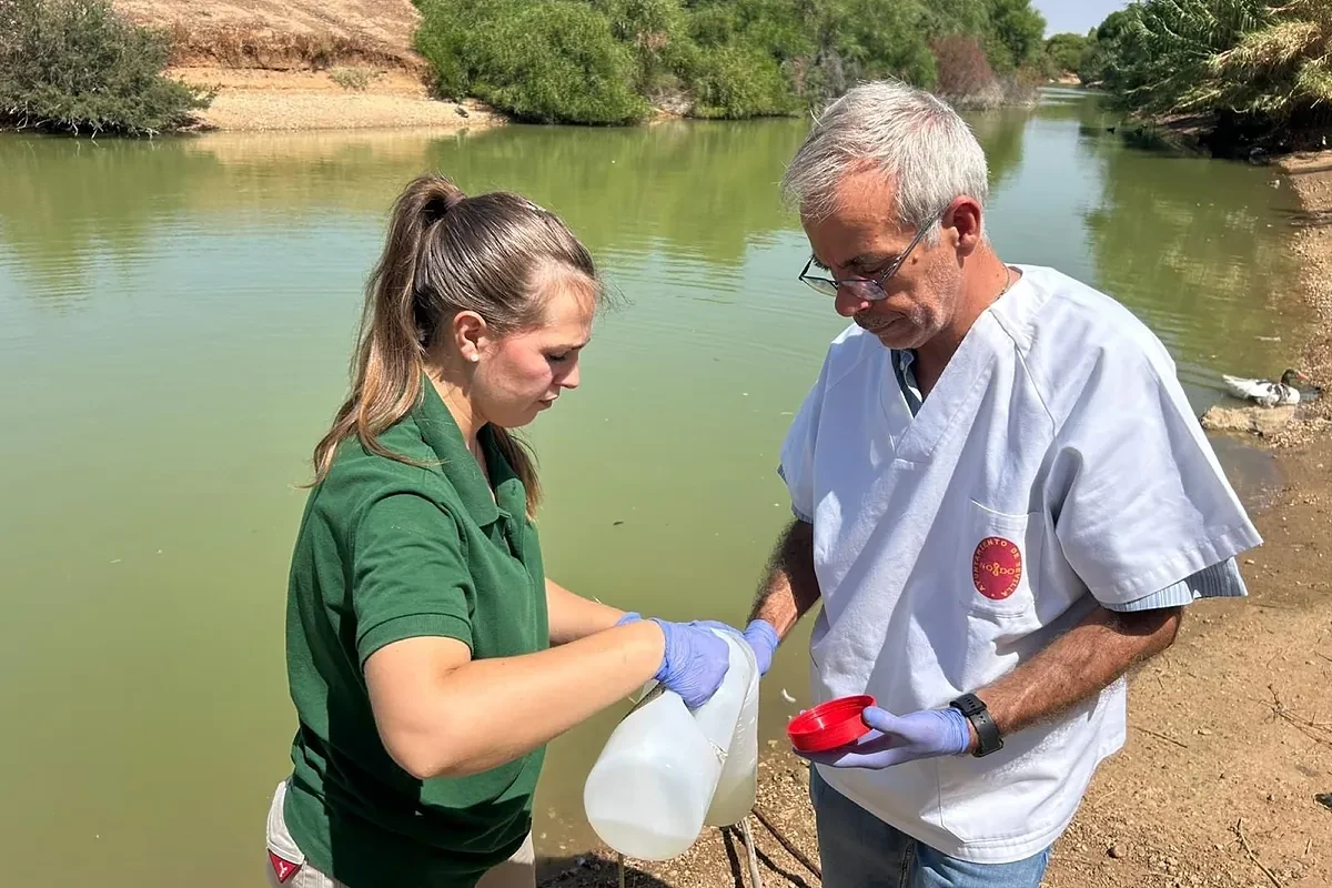 Sevilla cierra el Parque del Tamarguillo por un brote de gripe aviar que ha matado ya a 68 gansos