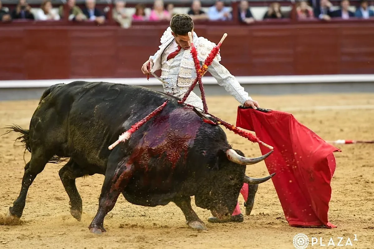 Gloria a Victoriano del Río: la excelencia de Frenoso o la verdadera bravura de vuelta al ruedo en Las Ventas