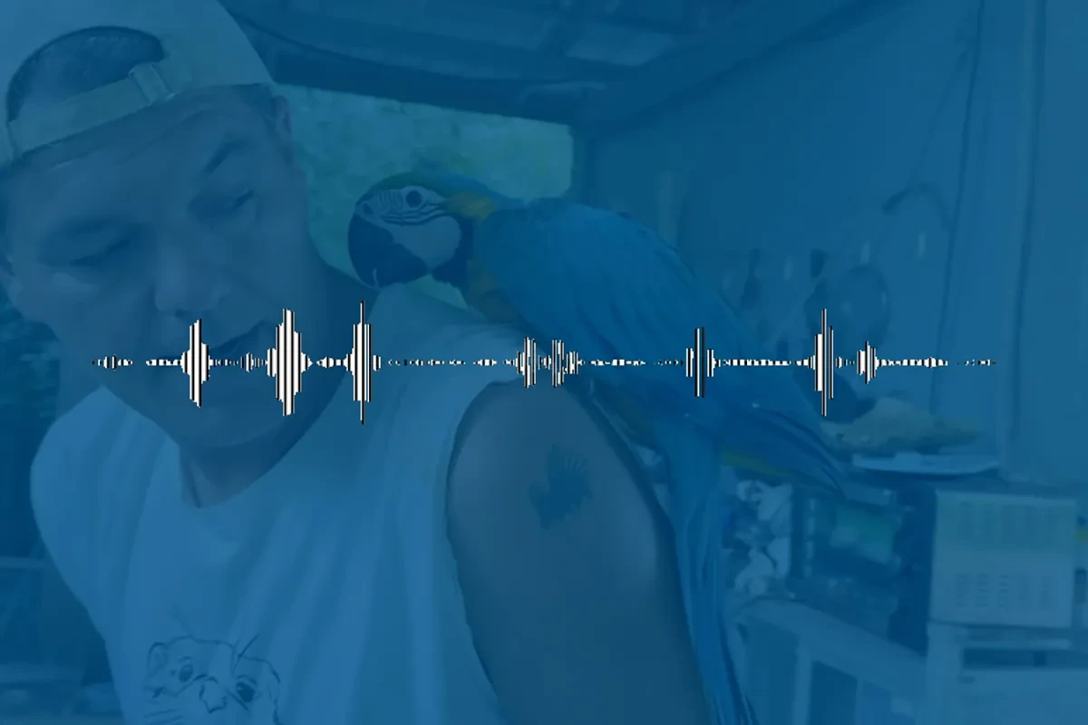 Nuevo audio exclusivo de Frank Cuesta: 