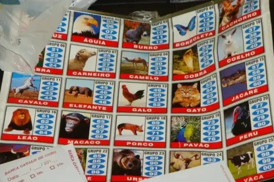 La lotería del crimen: así opera el 'jogo do bicho' en Brasil