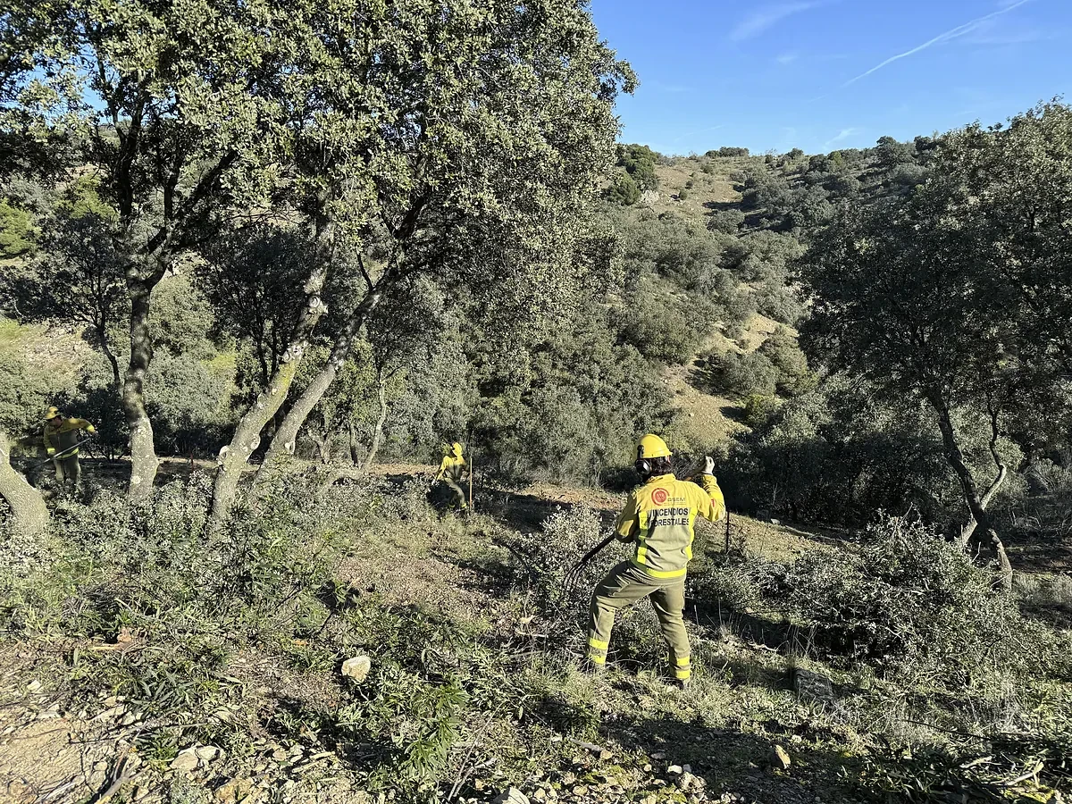 El nuevo convenio de Tragsa reconoce a las BRIF su categoría de bomberos forestales y les sube el sueldo