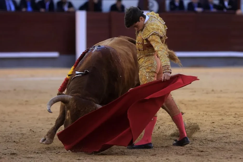 Aarón Palacio confirma en Las Ventas que Zaragoza tiene un torero (y muy bueno)
