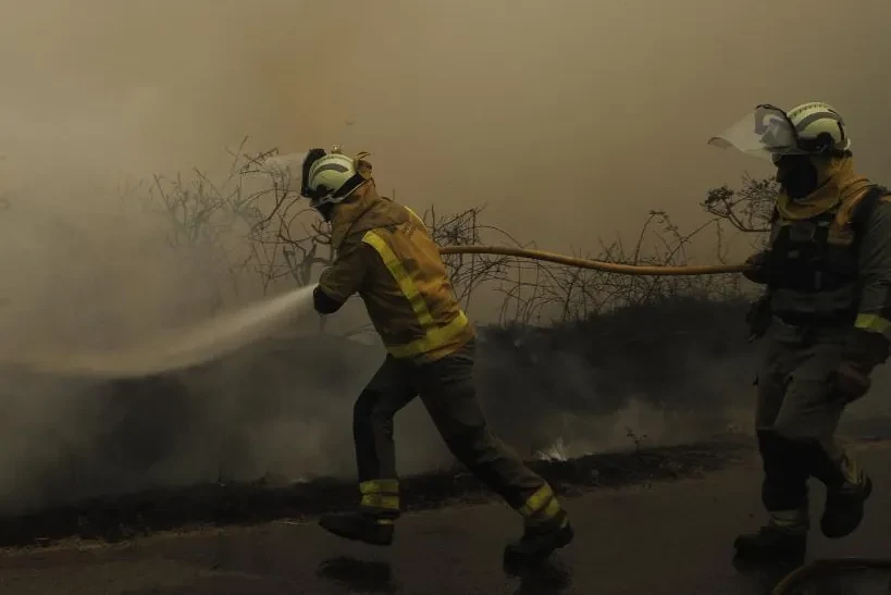 Cuatro ministros comparecerán la próxima semana en el Senado para abordar los incendios