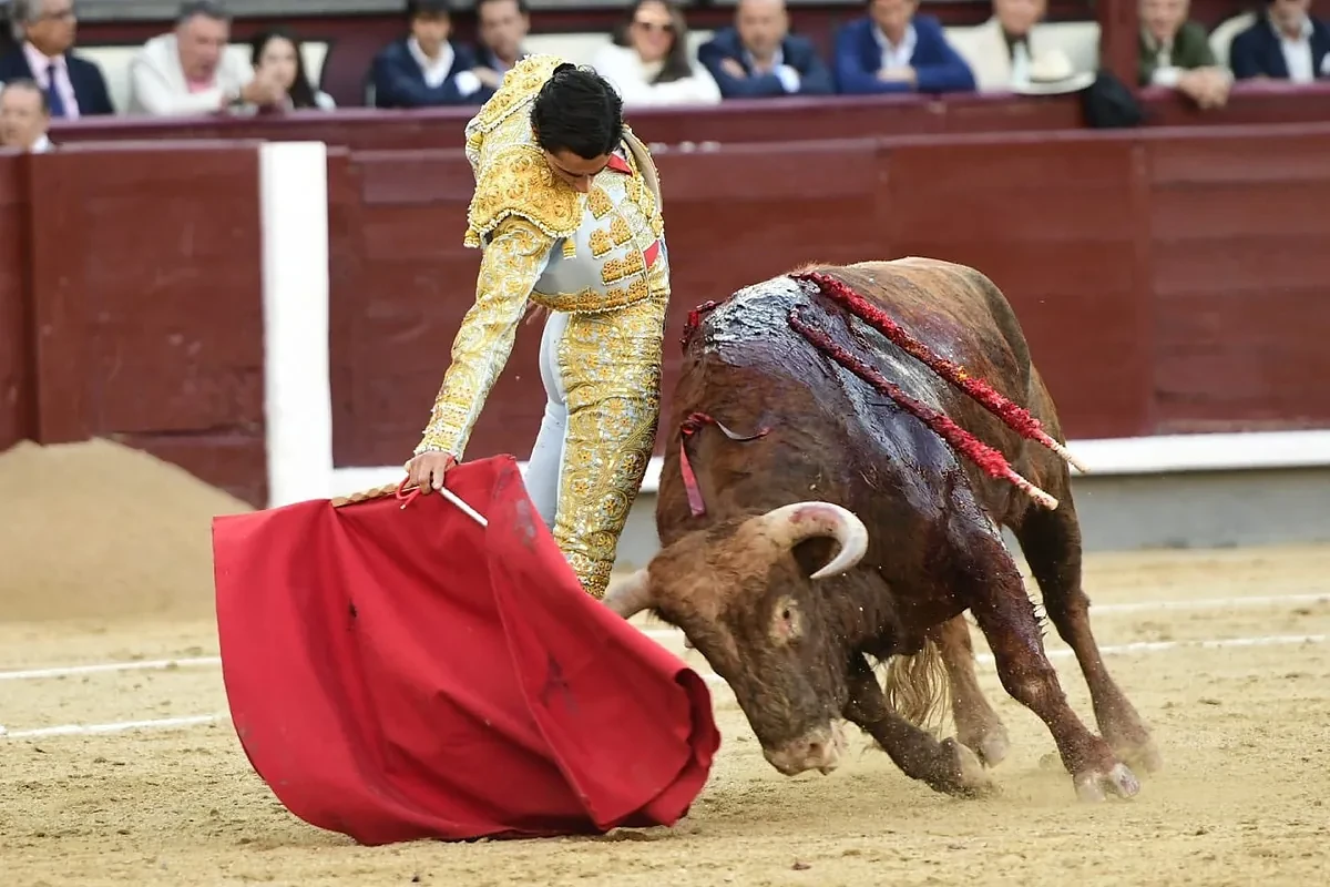 Una plaza frígida con tres novilleros con condiciones para ser torero: vuelta al ruedo para El Mene en Las Ventas
