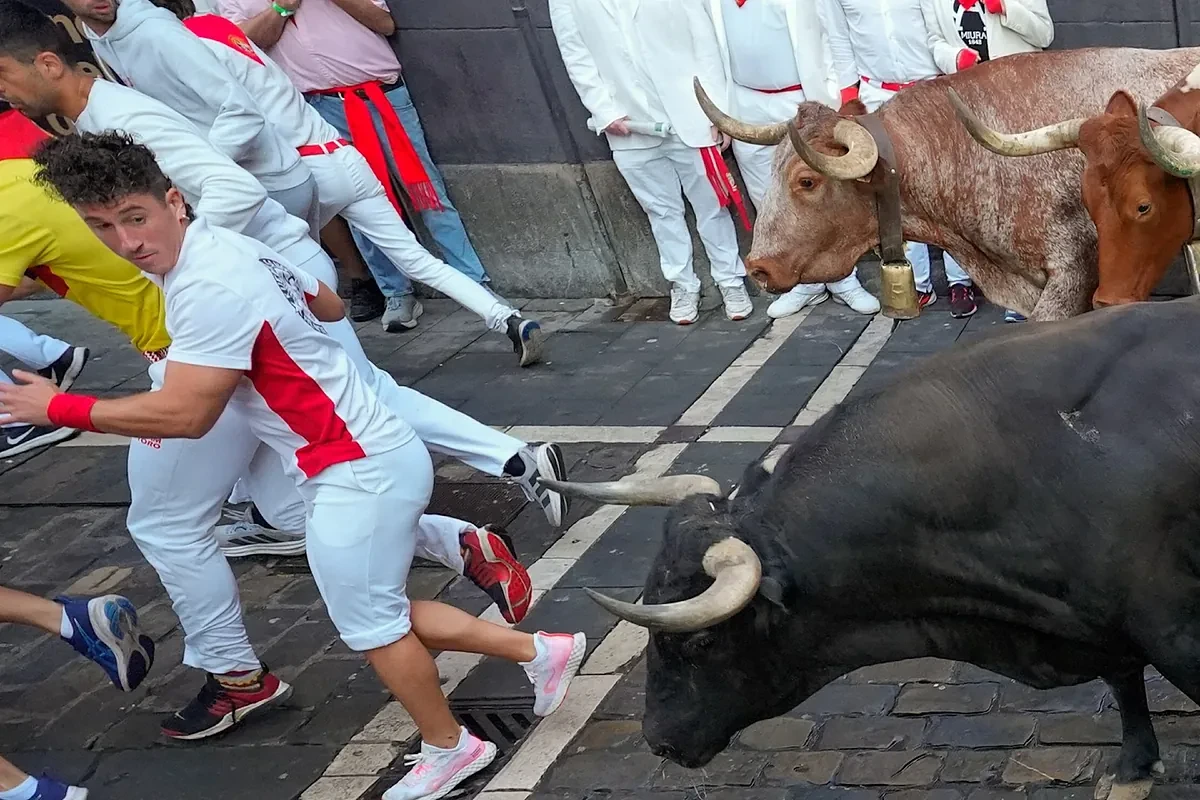 Vídeo de los mejores momentos del octavo y último encierro de San Fermín 2025, hoy 14 de julio
