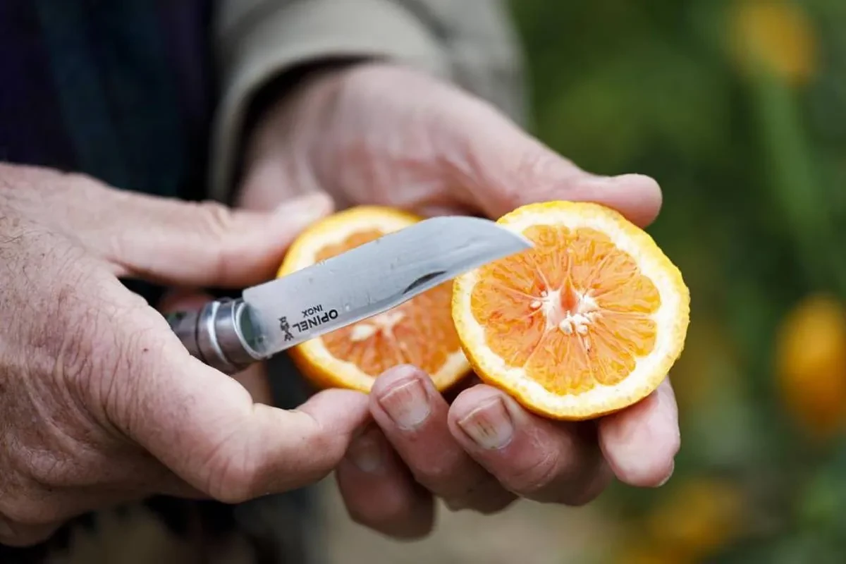 ¿Qué alimentos caducados se pueden comer y cuánto tiempo después?: De la leche a los huevos, la respuesta caso por caso