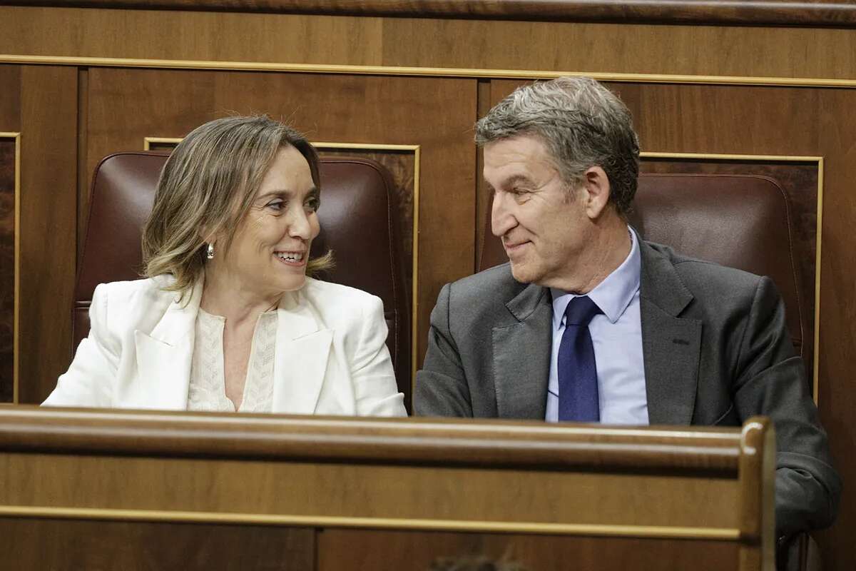 La encuesta interna de Feijóo sobre la quita: la desaprueban hasta los votantes del PSOE