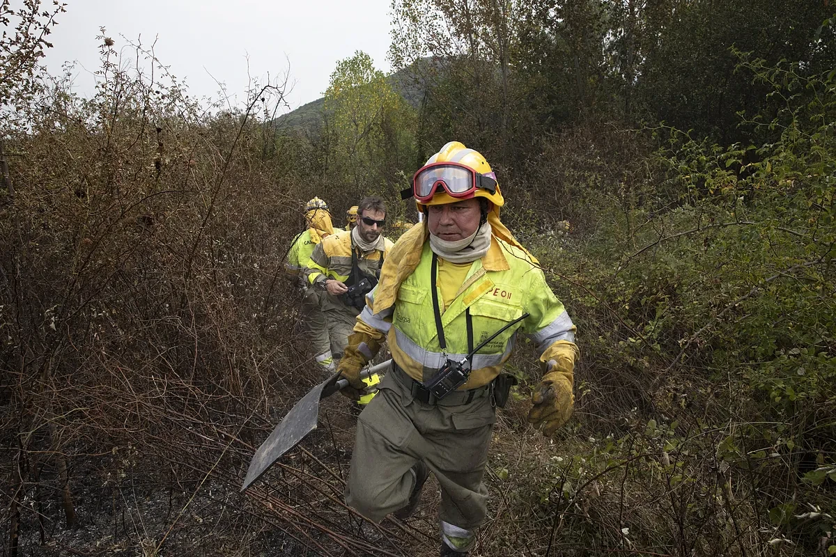 Una década detrás de la categoría de bombero forestal: 