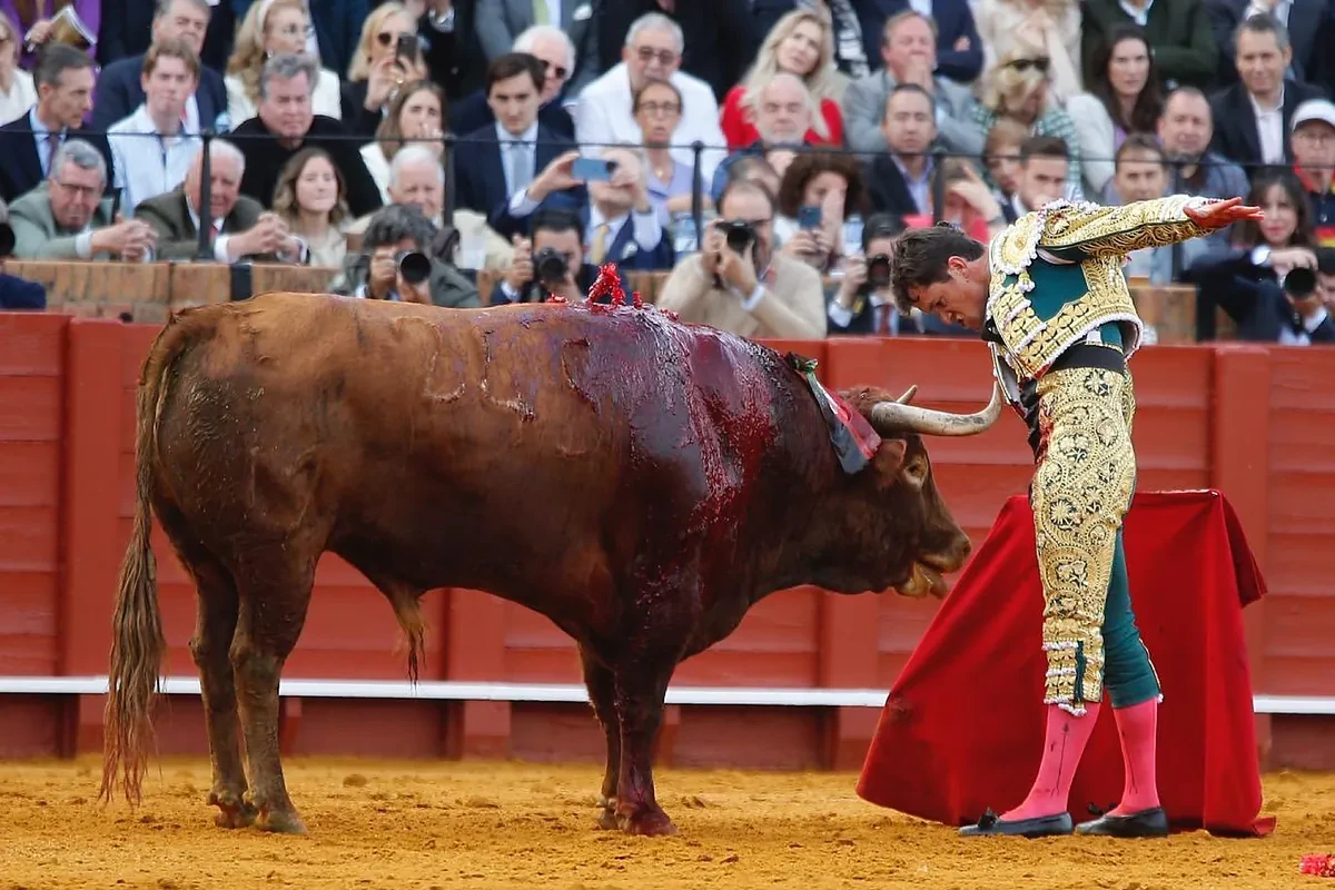 Mucho Luque y poco toro: un golpe de autoridad en el frío regreso de Morante a Sevilla