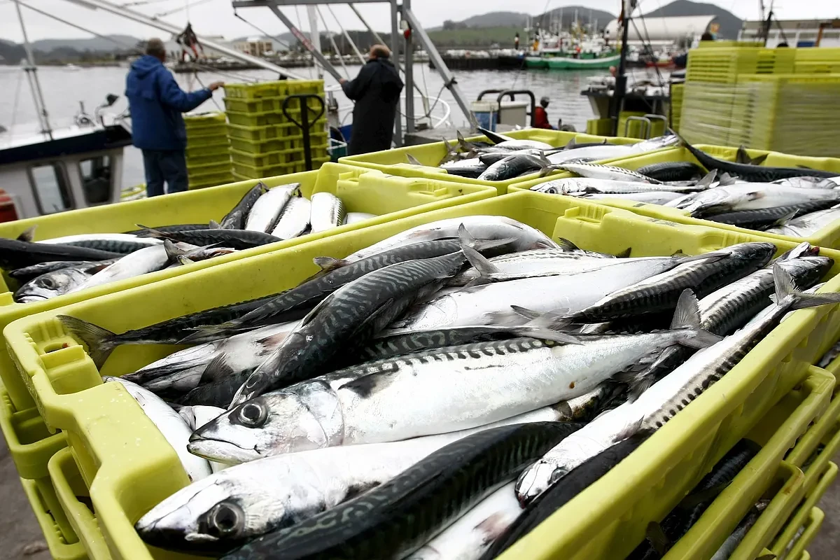 La UE acuerda con el Reino Unido que pescadores comunitarios puedan faenar en aguas británicas durante 12 años