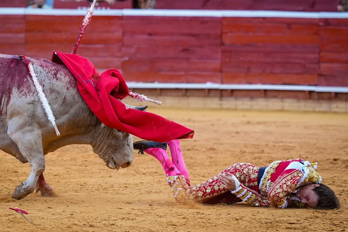 Roca Rey, cogido en Huelva y descartada rotura de ligamentos: 